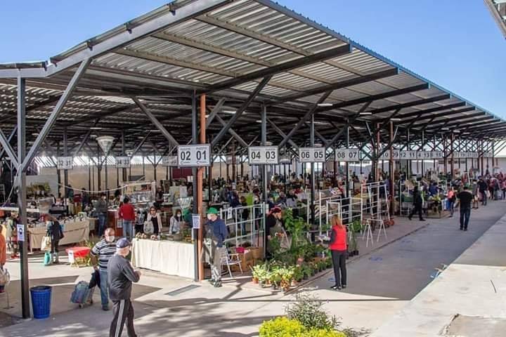 Feria Unida y Autocine, suspendidos hasta nuevo aviso