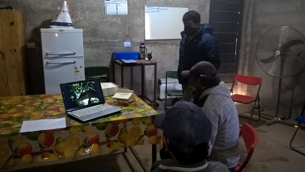 Comienza la campaña contra Carpocapsa