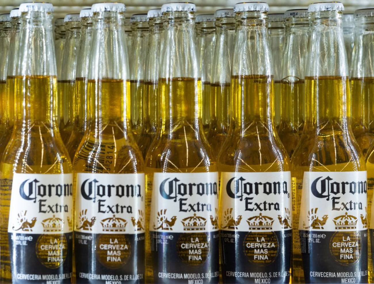 Cerveza Corona ya se fabrica en el Argentina