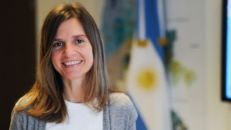 La titular de ANSES, Fernanda Reverta indico «que esta en discusión» la Renta Básica Universal