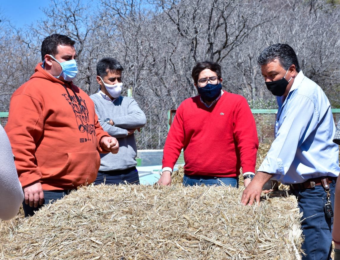Articulación con productores y Municipio de Huillapima para tecnificar las colonias de Nueva Coneta y del Valle