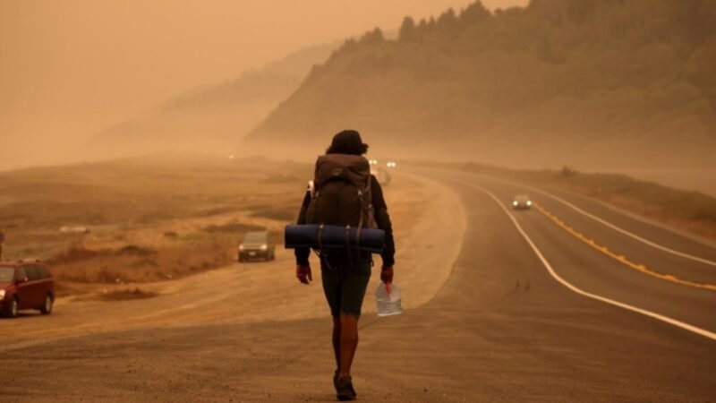 Incendios forestales: una nube de humo cubrió 15 kilómetros en California