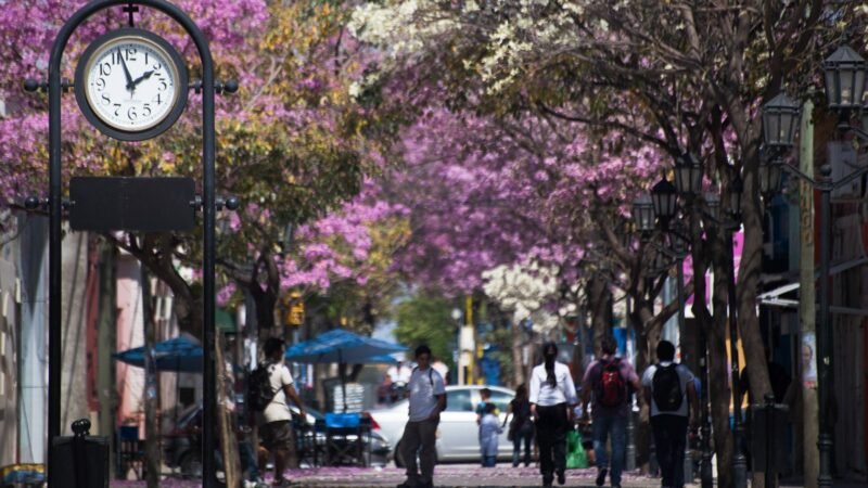 ¿Cuales son las actividades exceptuadas?