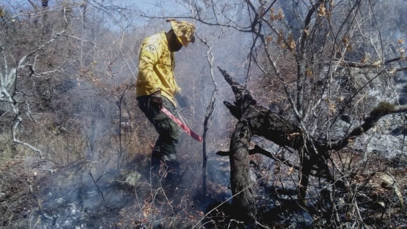 Continúan con actividad los incendios de La Cébila y Yerba Buena
