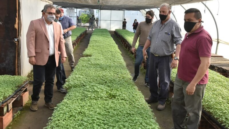 Jalil y Sarquis visitaron el vivero del Campo Demostrativo «La Viñita»