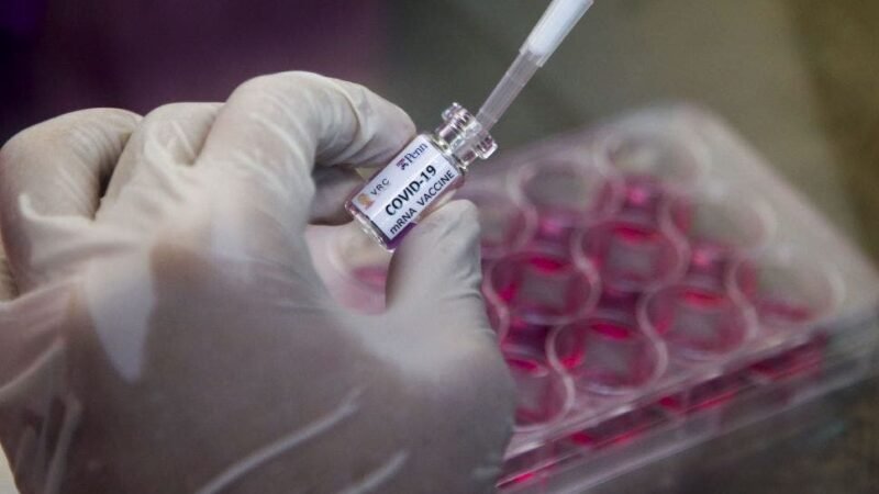 Laboratorio Mabxience  anunció que fabricará principio activo para hasta 250 millones de vacunas para el coronavirus