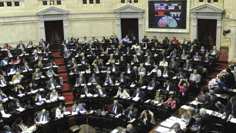 El proyecto del Aborto Legal obtuvo media sanción en Diputados