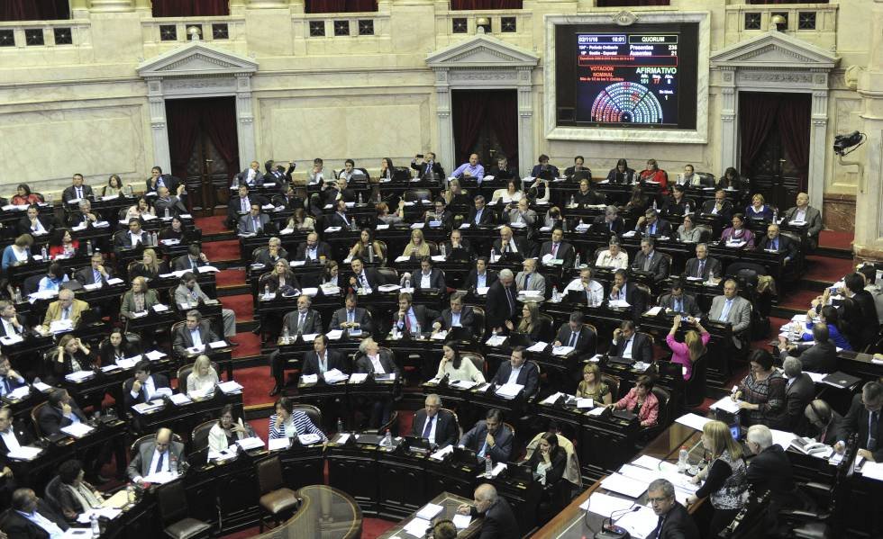 El proyecto del Aborto Legal obtuvo media sanción en Diputados