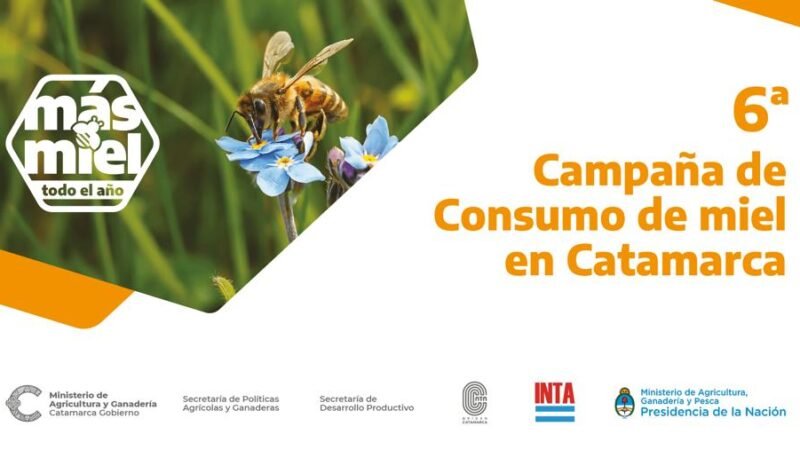 Jueves 20 de mayo: Día Mundial de la Abeja