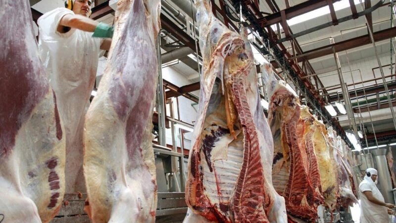 Siguen los cuestionamientos por exportación de carne
