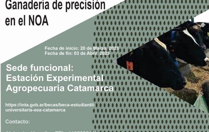  Se convoca a Beca Estudiantil Universitaria para el INTA Catamarca