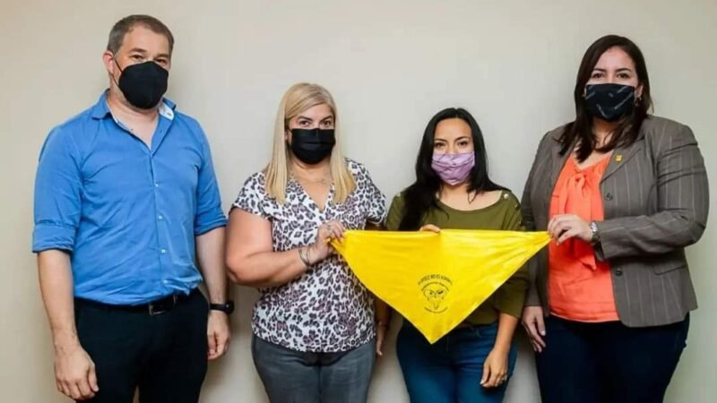 Piden la aplicación urgente de la Ley de endometriosis