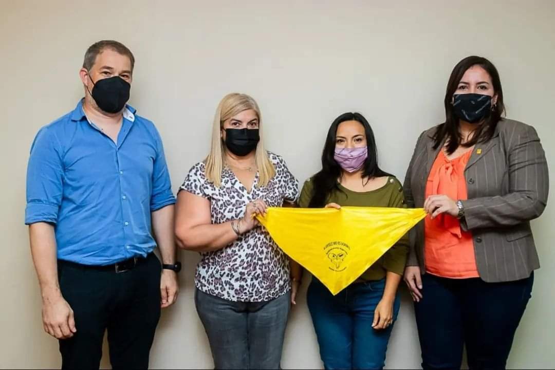 Piden la aplicación urgente de la Ley de endometriosis