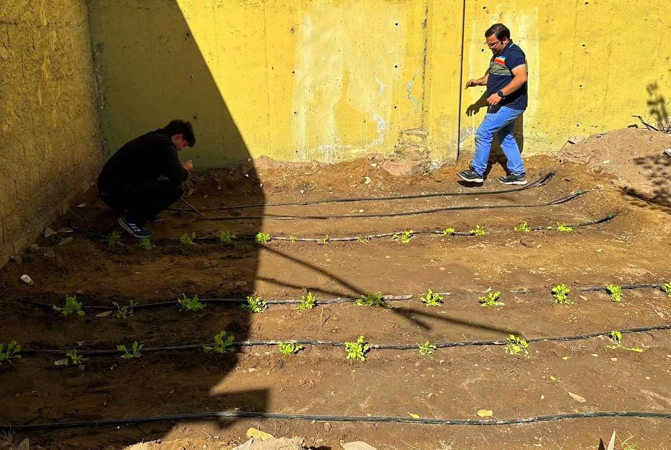 Sistemas de riego para huertas ecológicas