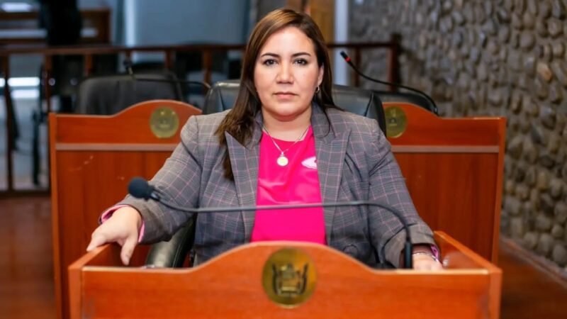 Carrizo insiste con garantizar la representación de las minorías