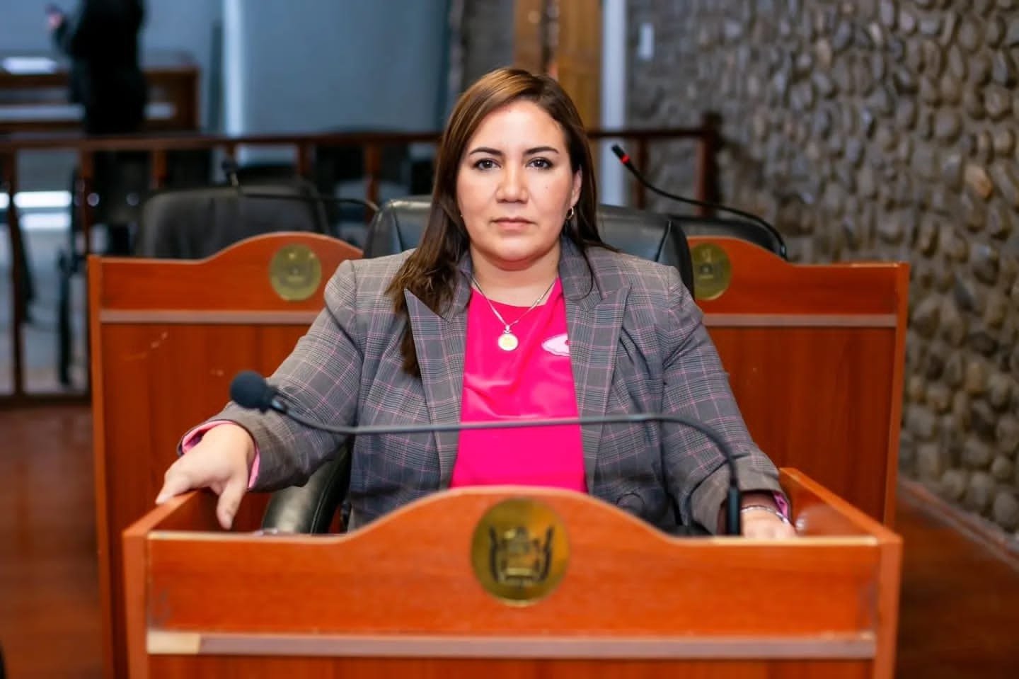 Carrizo insiste con garantizar la representación de las minorías