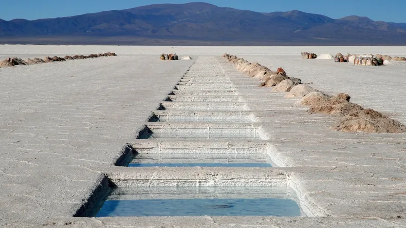 Techint se mete en el negocio del litio en Catamarca
