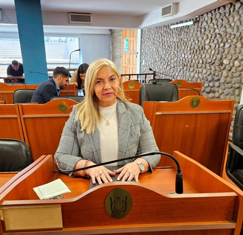 Cristina Gómez:»No todos entregamos el partido, la honestidad y los intereses de la gente»